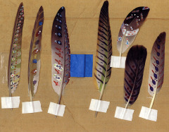 Seven Painted Feathers